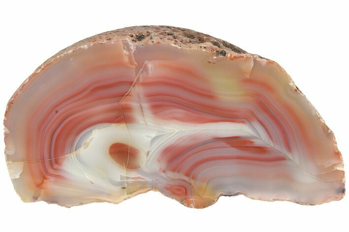 Colorful, Polished Patagonia Agate - Highly Fluorescent! #214919